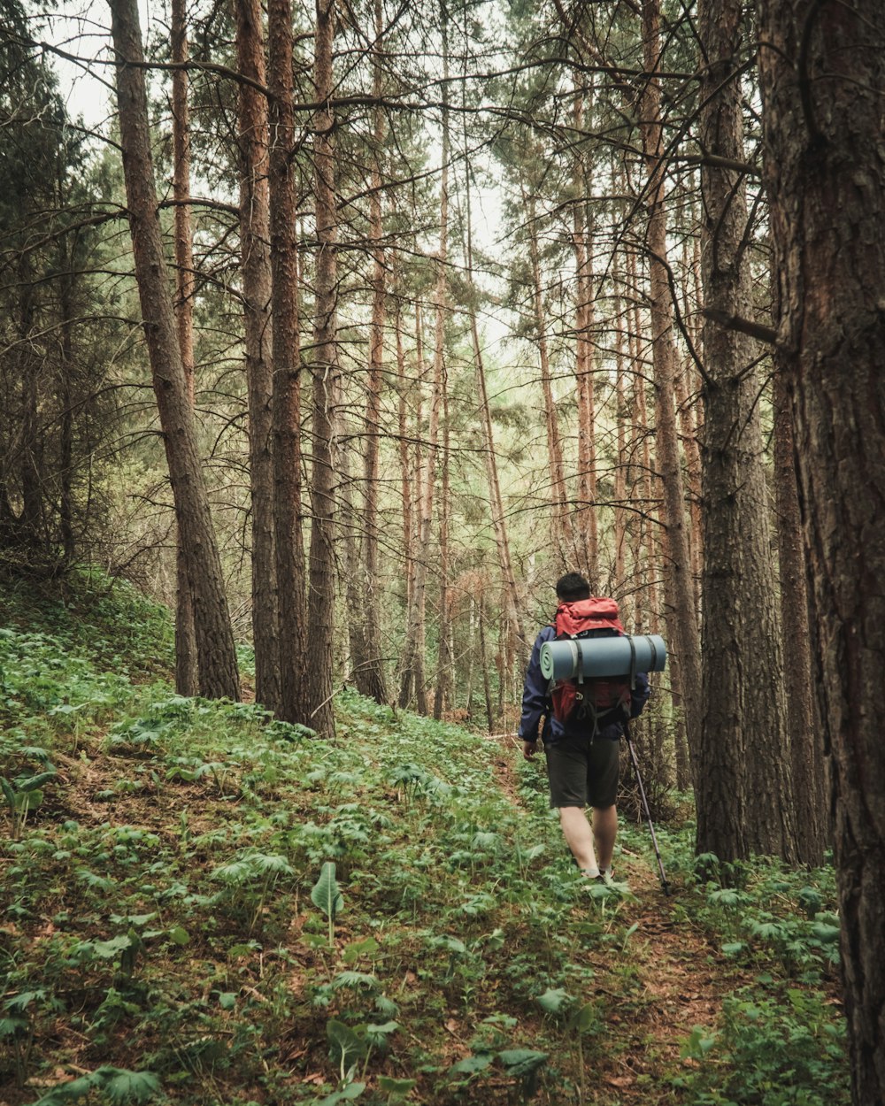 Hombre con chaqueta negra y mochila negra caminando en el bosque durante el día