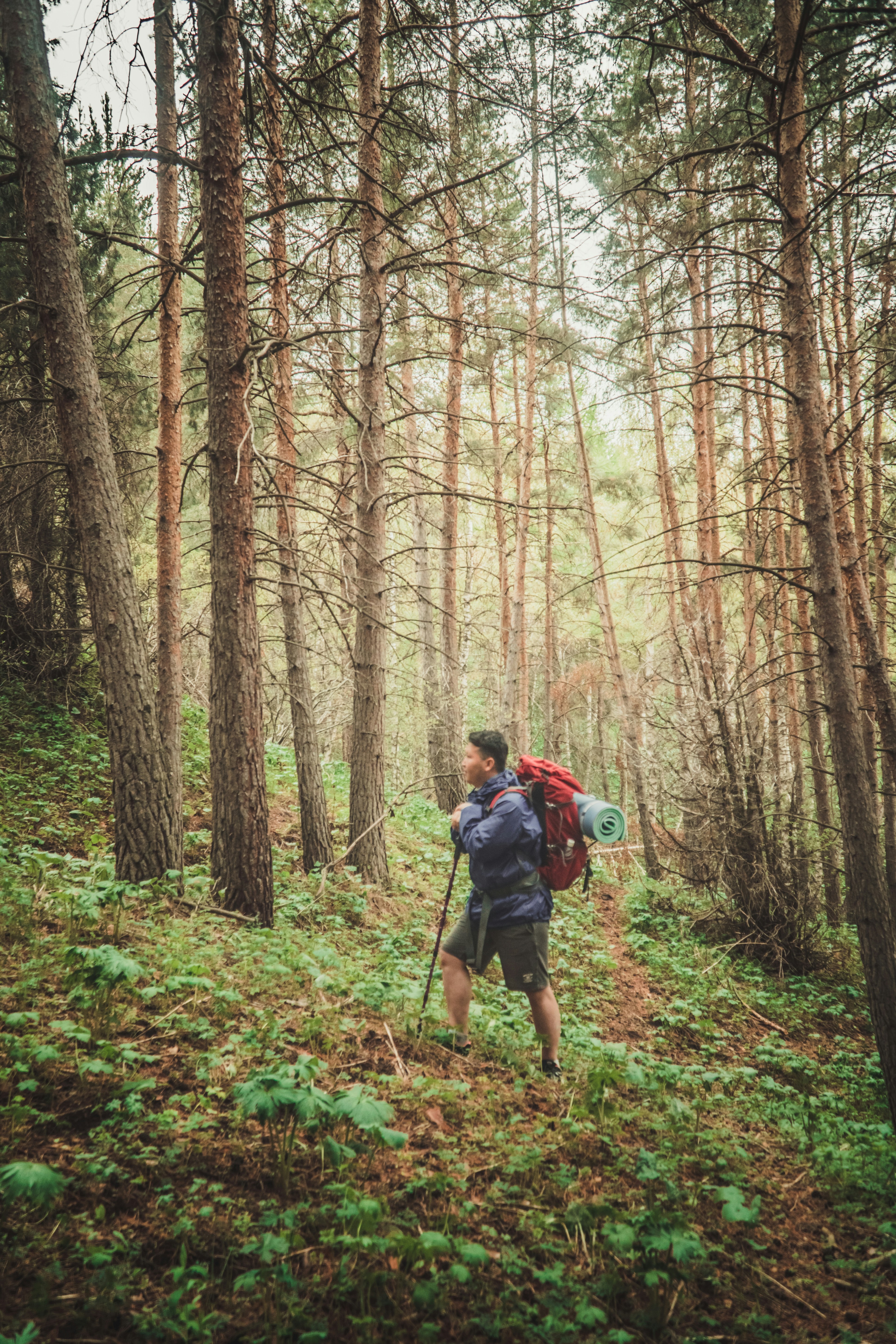 Photo by asilbekovadilet