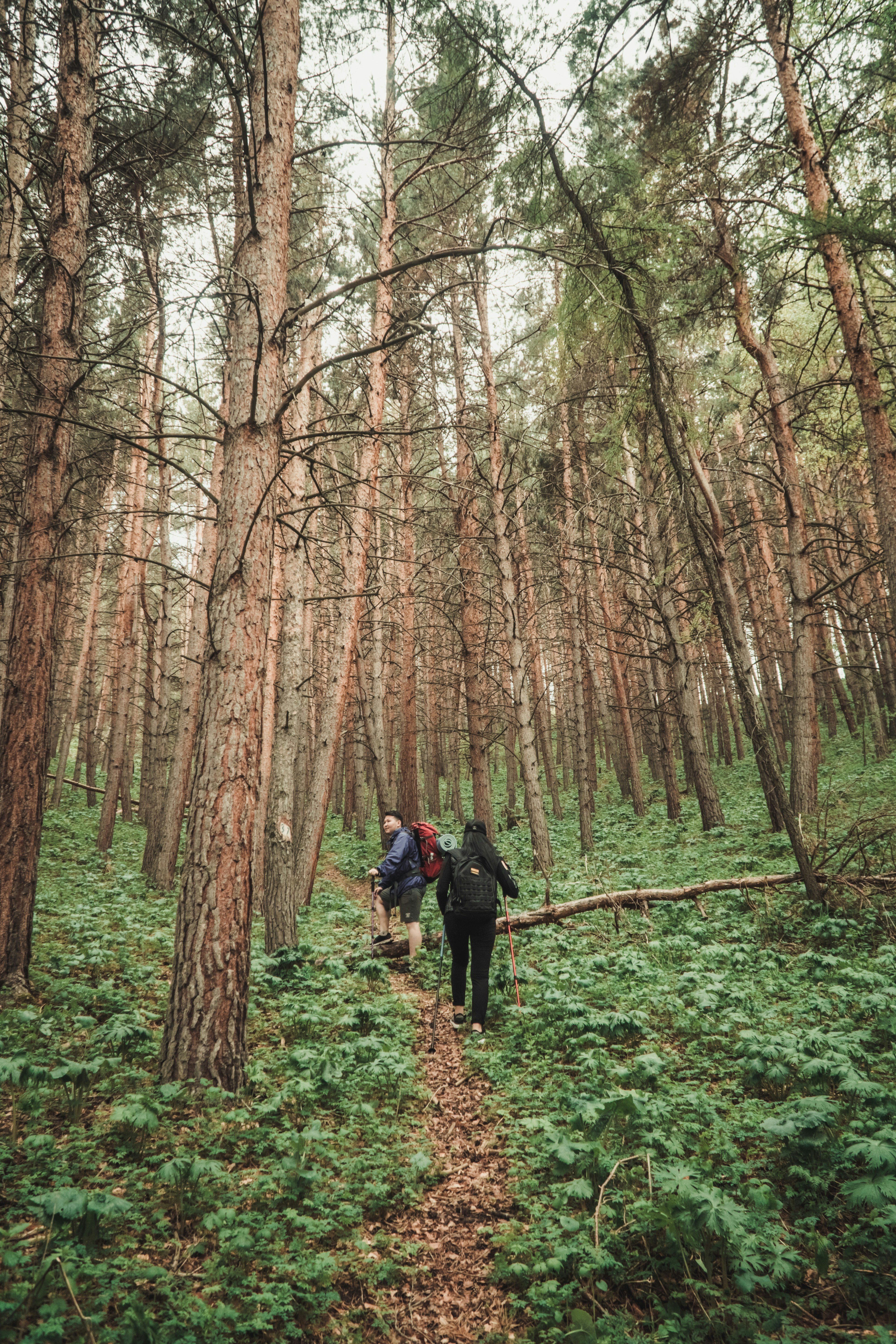 Photo by asilbekovadilet