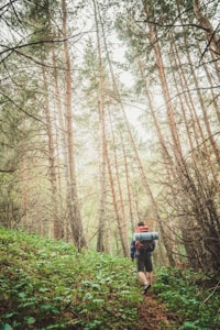Hiking Backpack