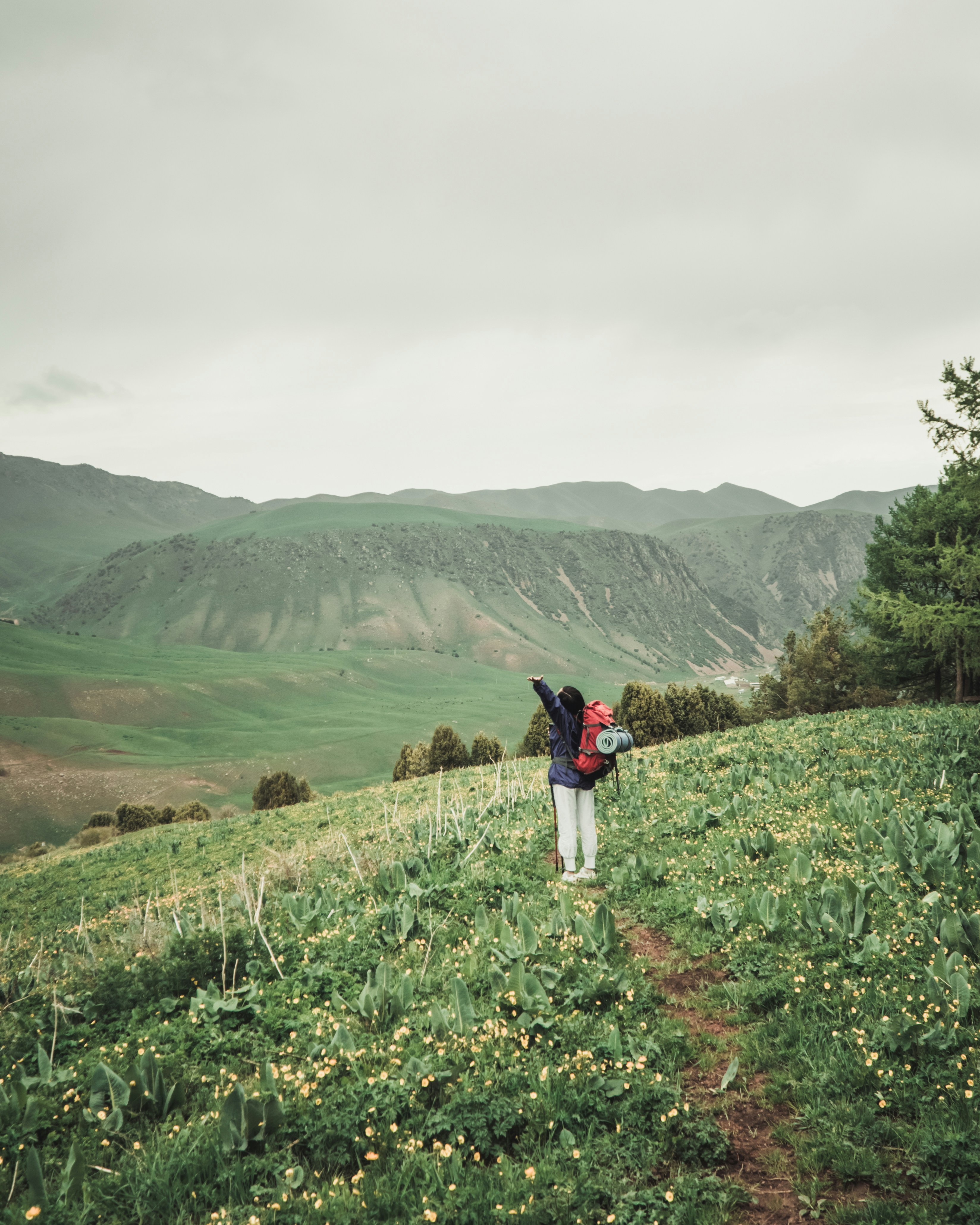 Photo by asilbekovadilet