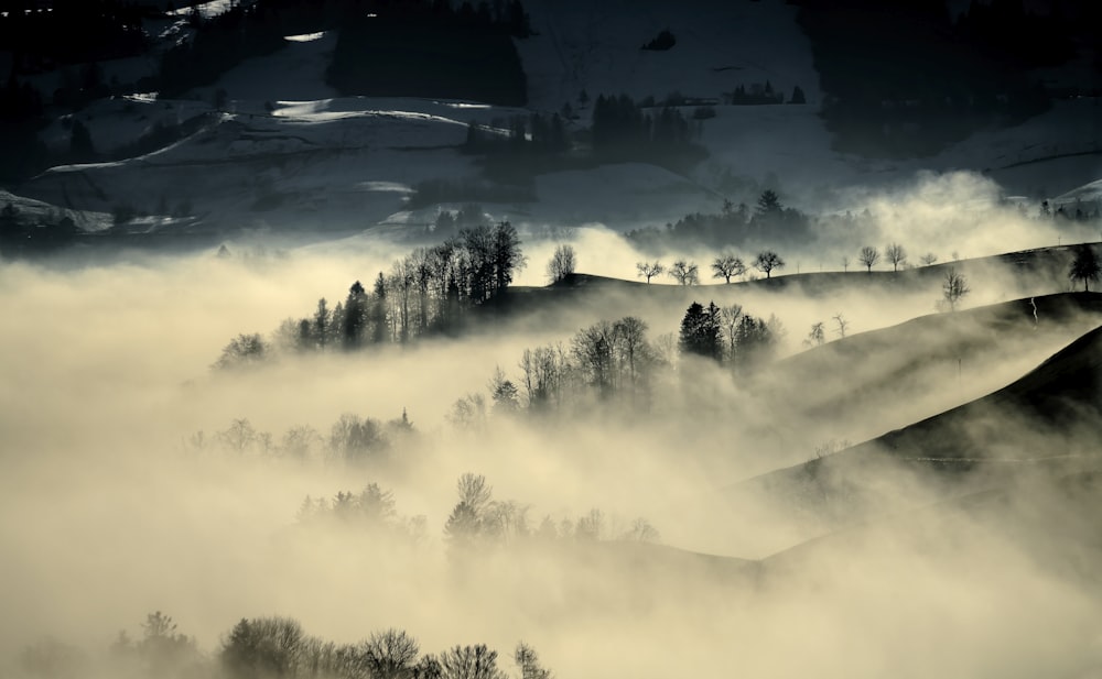 a black and white photo of a mountain covered in fog