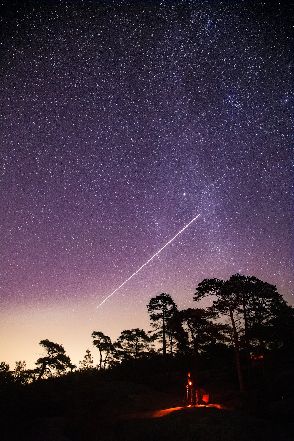 silhouette of trees under starry night