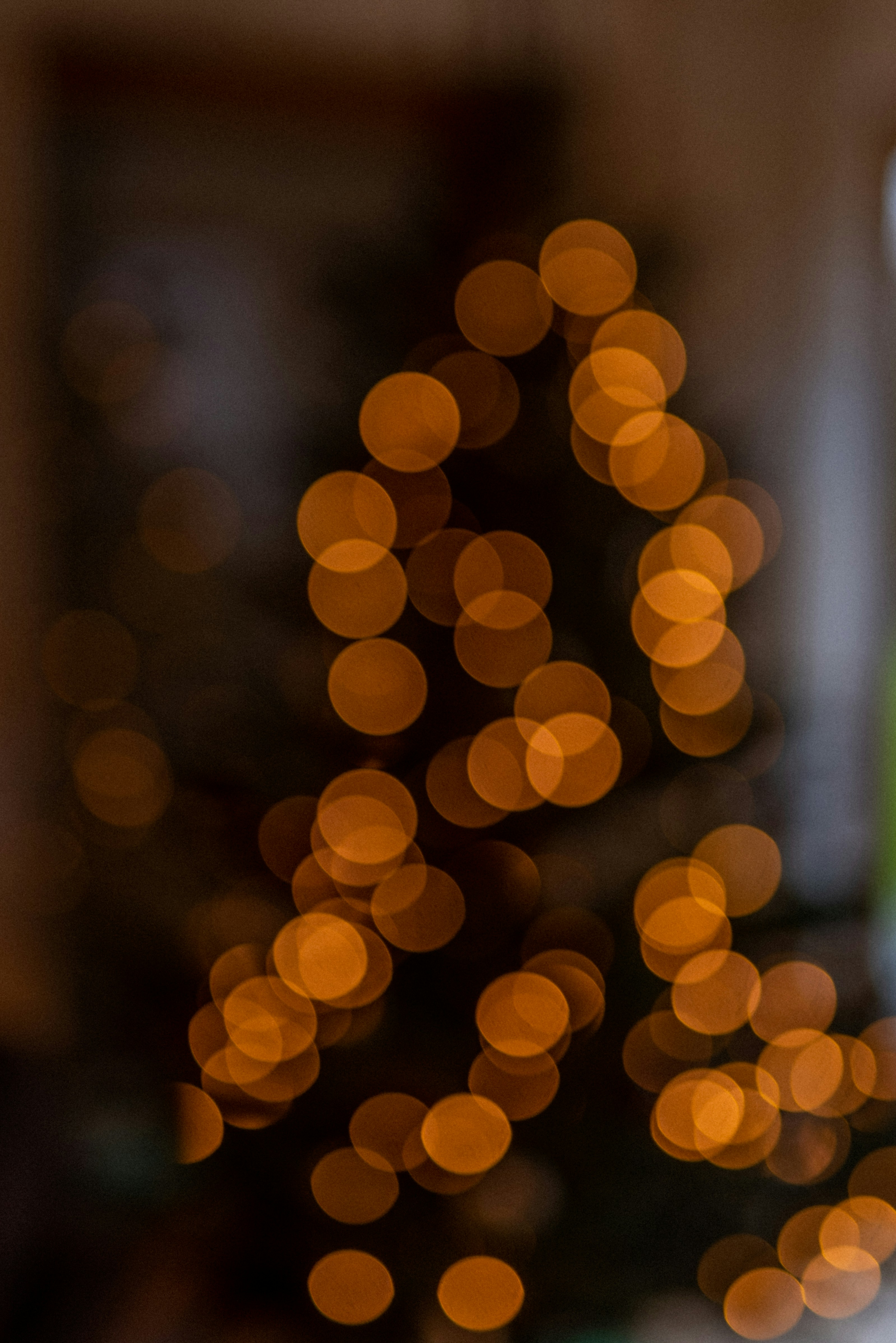 Photo by luana_niemann