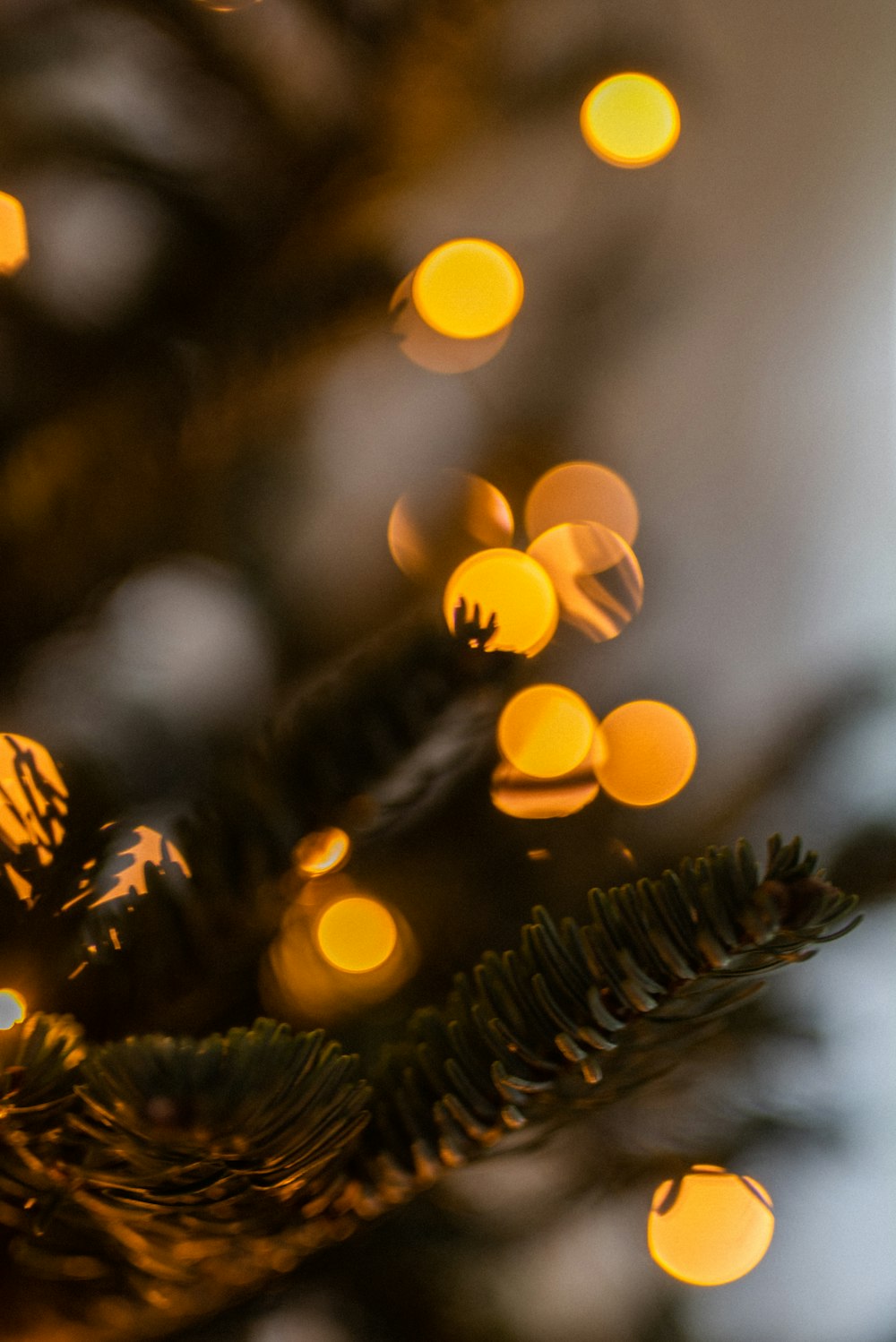 yellow and white bokeh lights