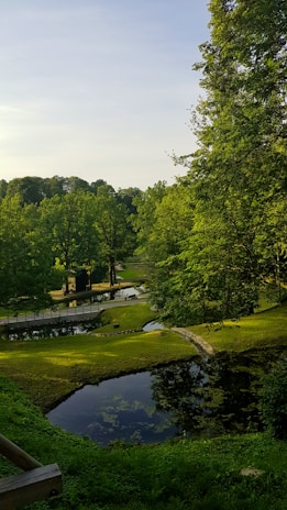 A serene community park with lush greenery and walking paths inspired by Swiss landscapes.