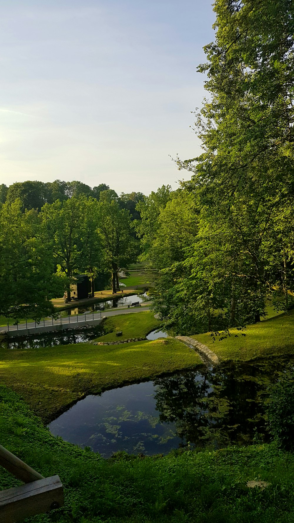 green trees near river under white sky during daytime