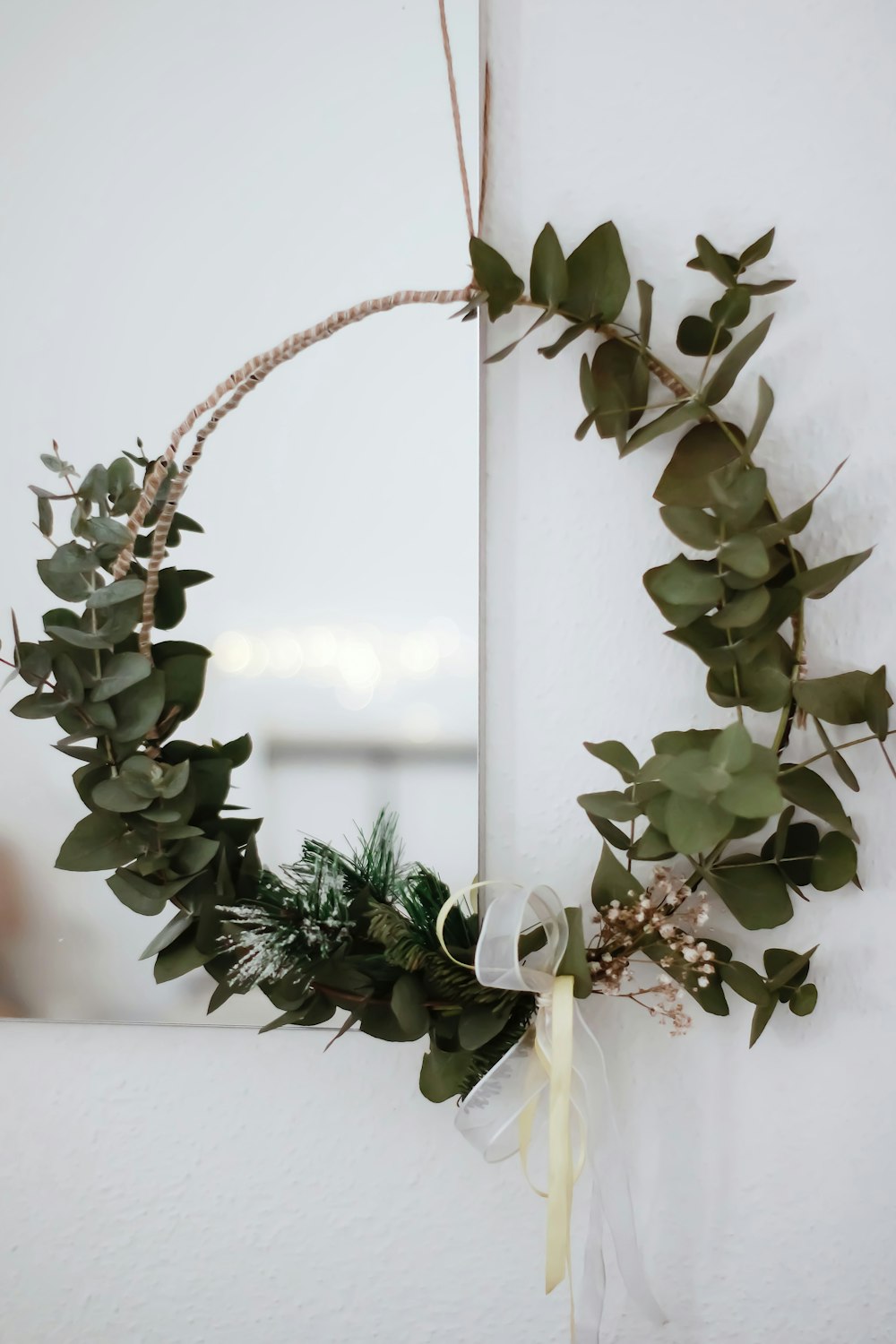 plante verte sur vase en céramique blanche