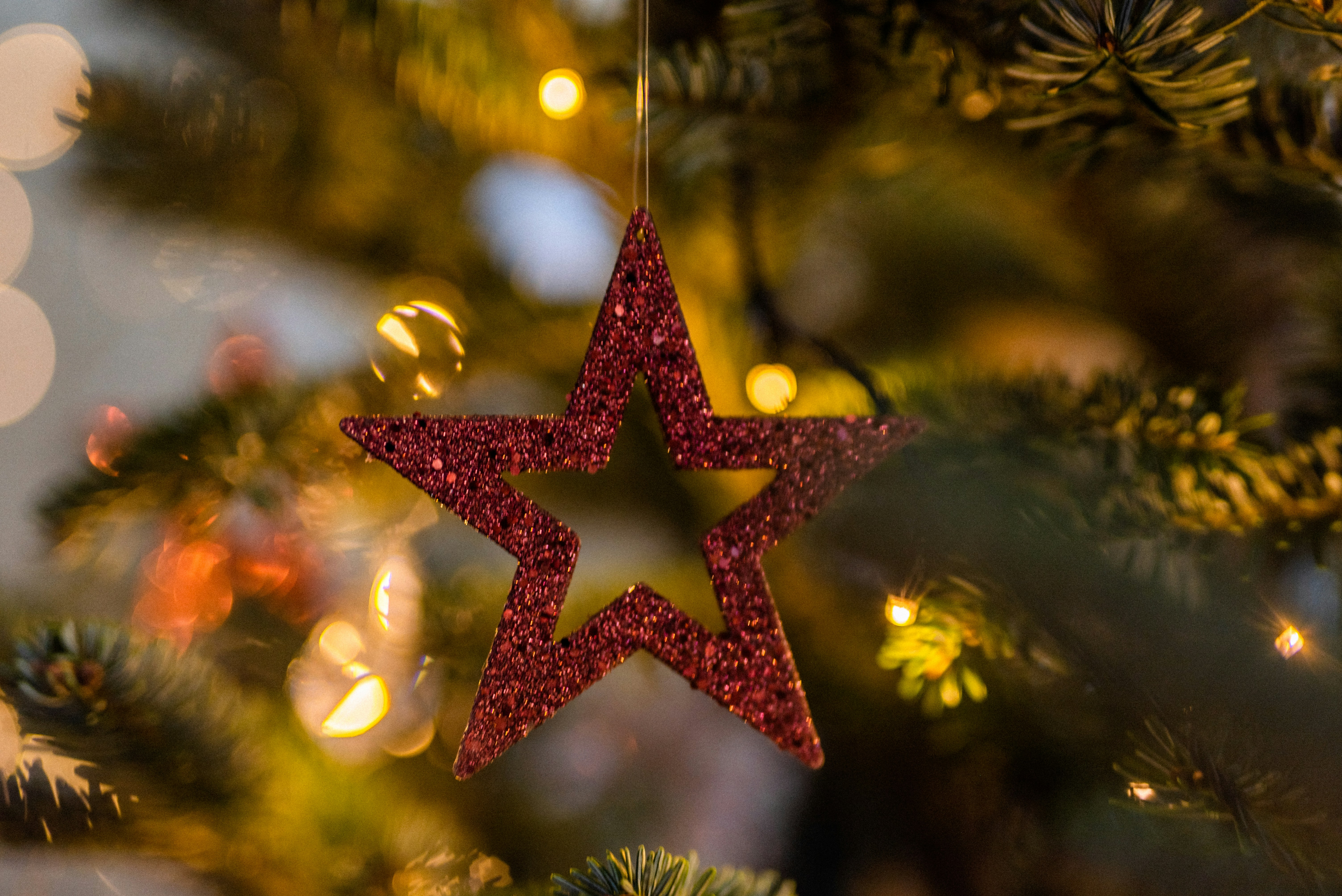 赤い星のクリスマス ツリーの飾りの写真 – Unsplashで見つけるクリスマスツリーの無料写真