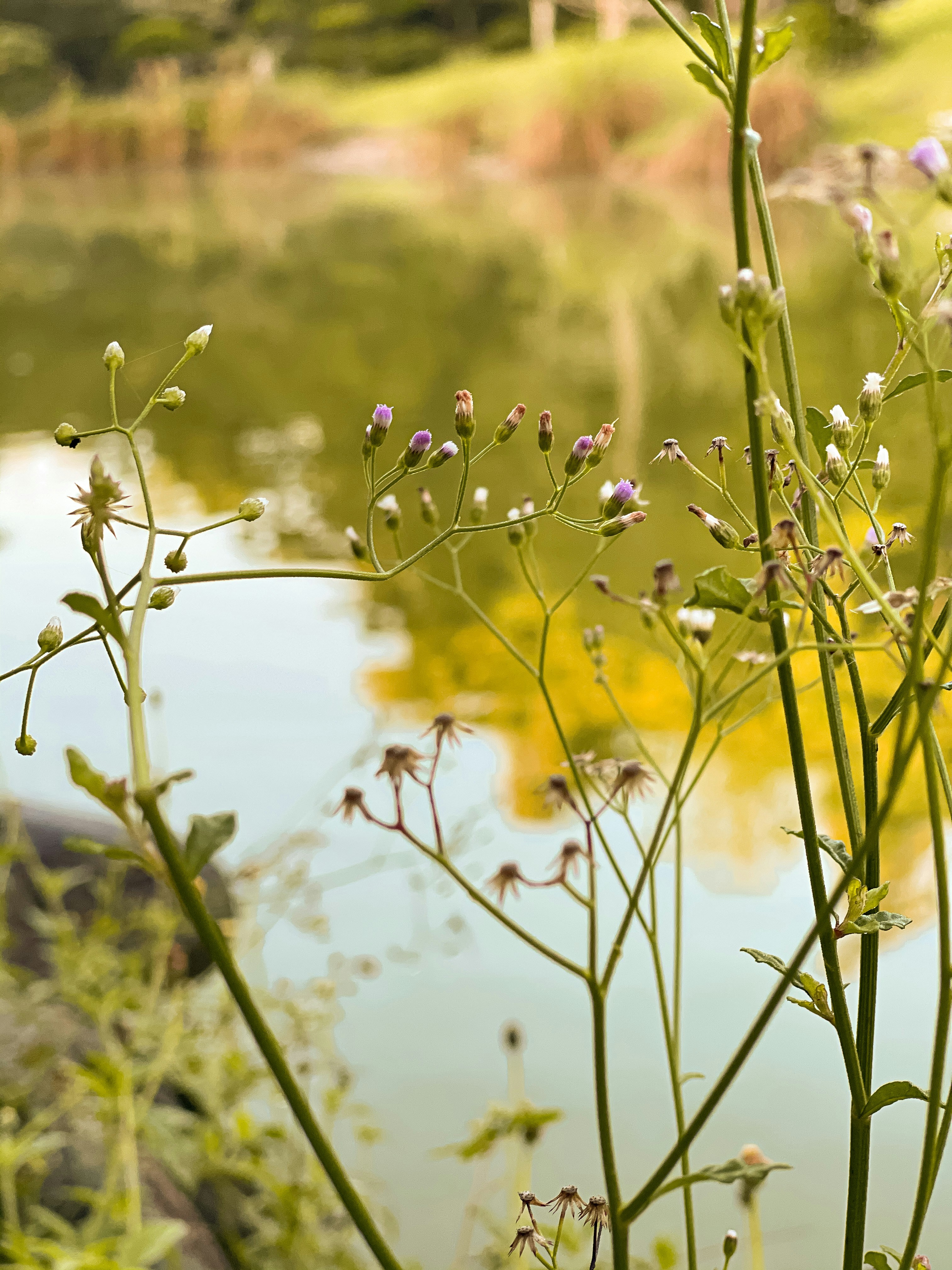 Photo by maybeimwealthy