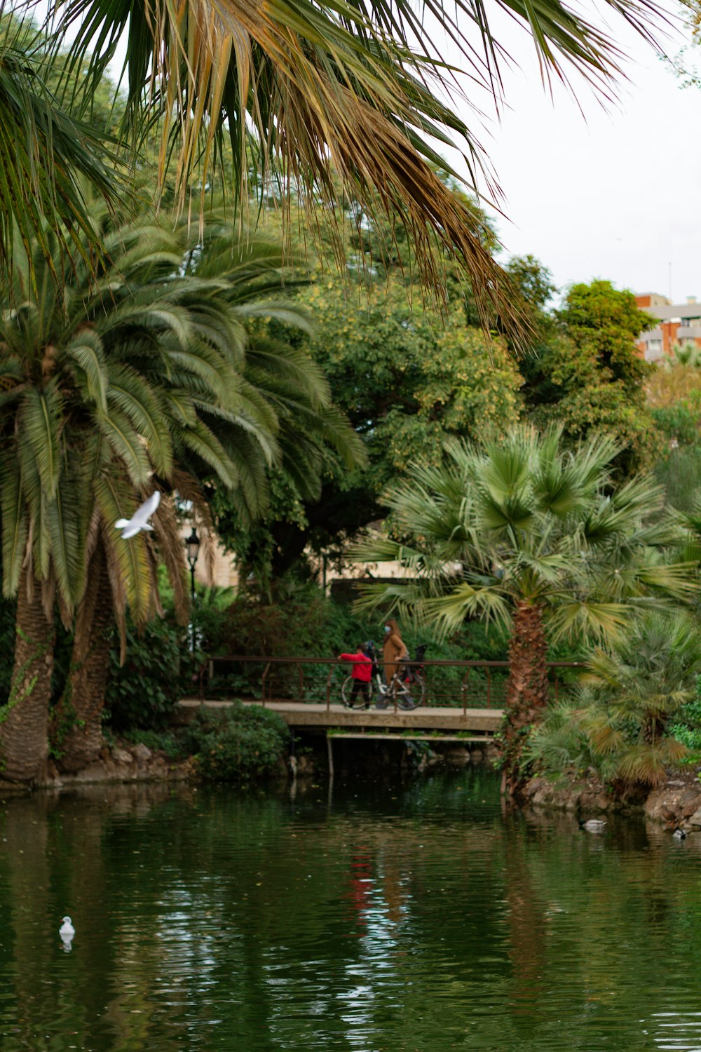 Personas que viajan en bote por el río durante el día