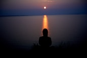 silhouette of person sitting on grass during sunset