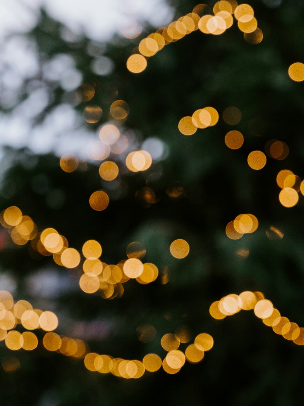 Fotografia bokeh delle luci durante la notte