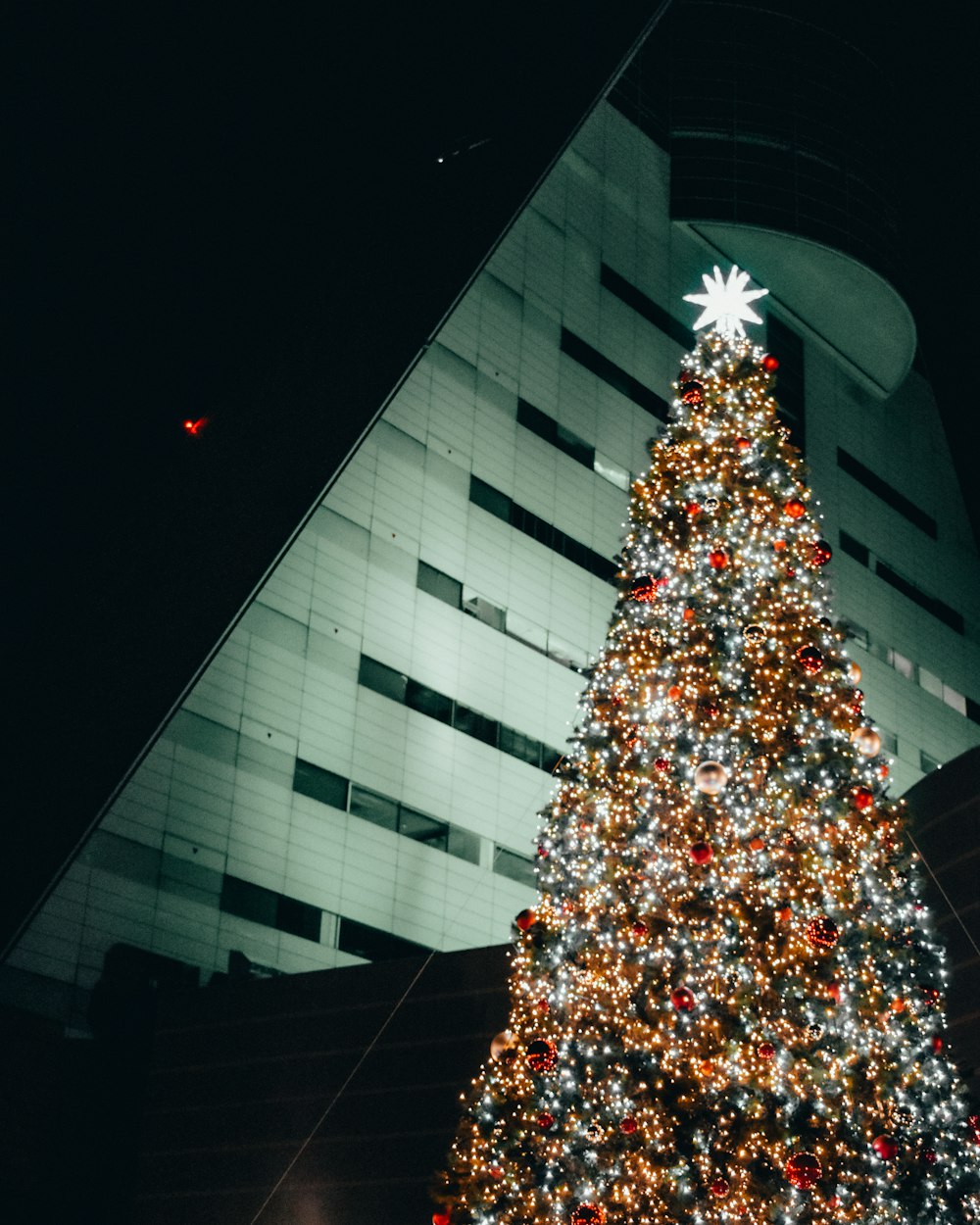 christmas tree with string lights near white concrete building during nighttime