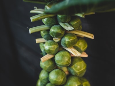 green and yellow round fruits