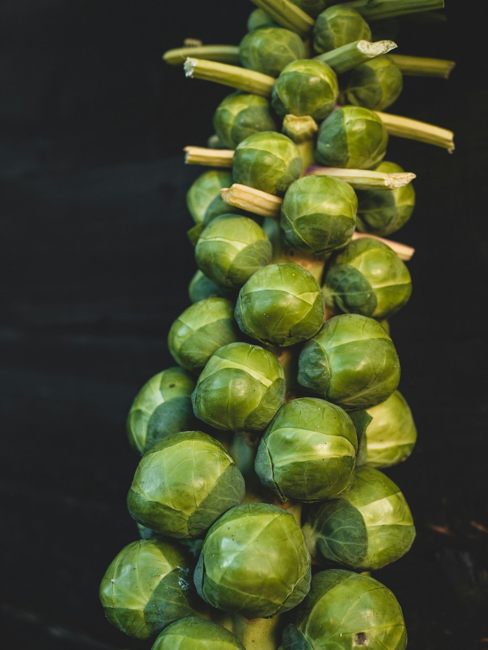 green round fruit on black background