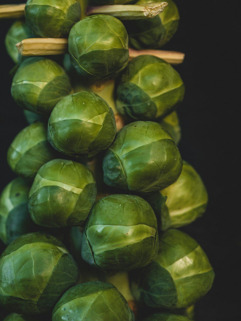 folhas verdes e amarelas com gotículas de água