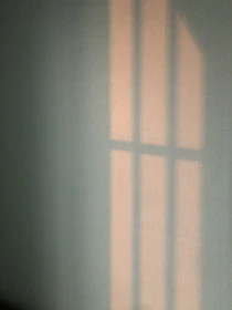 Soft shadows cast on a textured wall, evoking a peaceful, contemplative atmosphere.