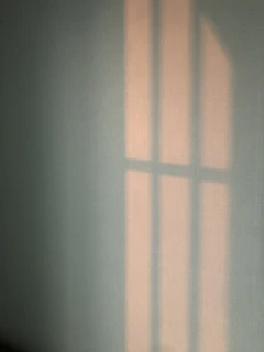 Soft shadows cast on a textured wall, evoking a peaceful, contemplative atmosphere.