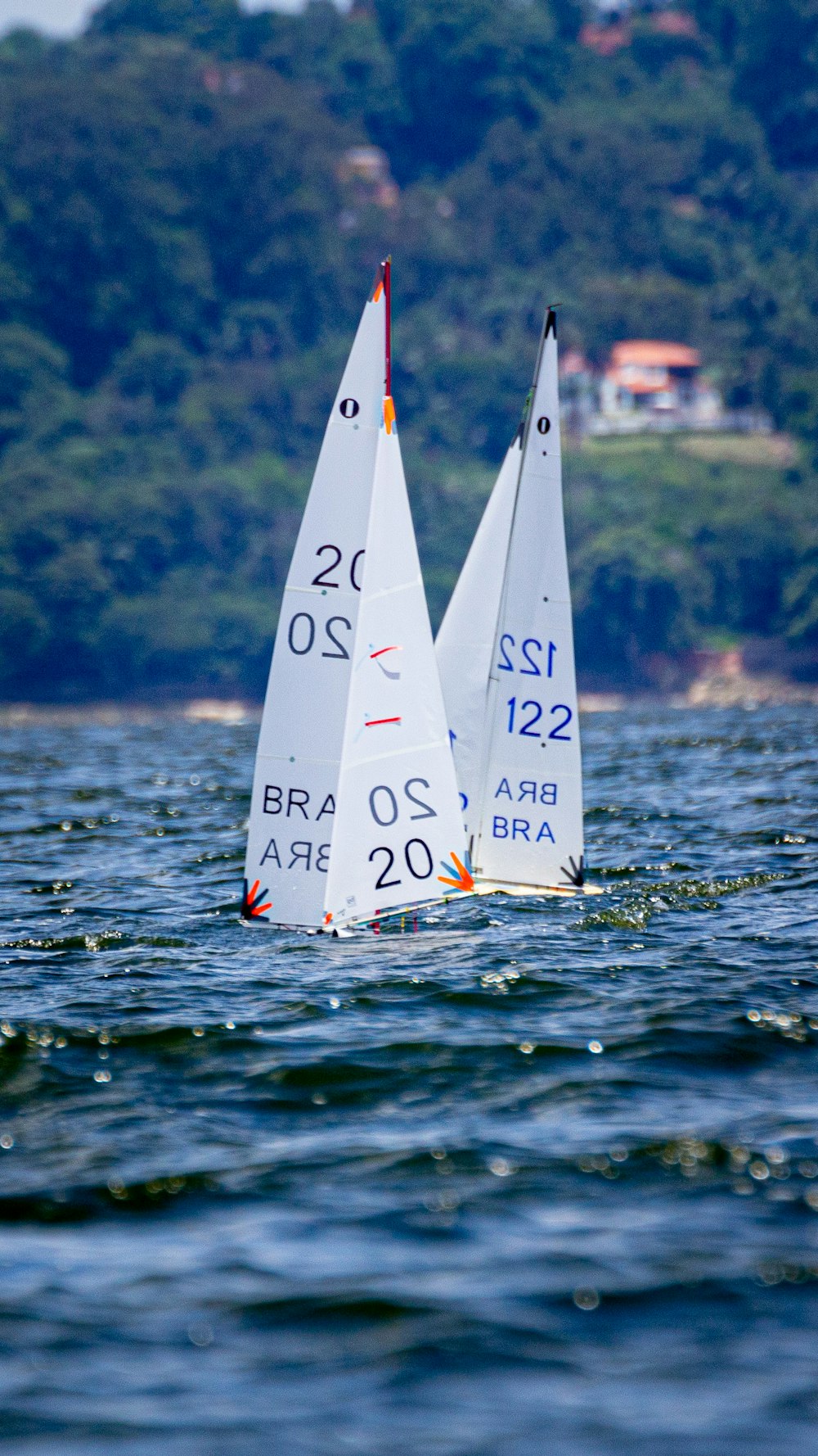 white and red sail boat on body of water during daytime