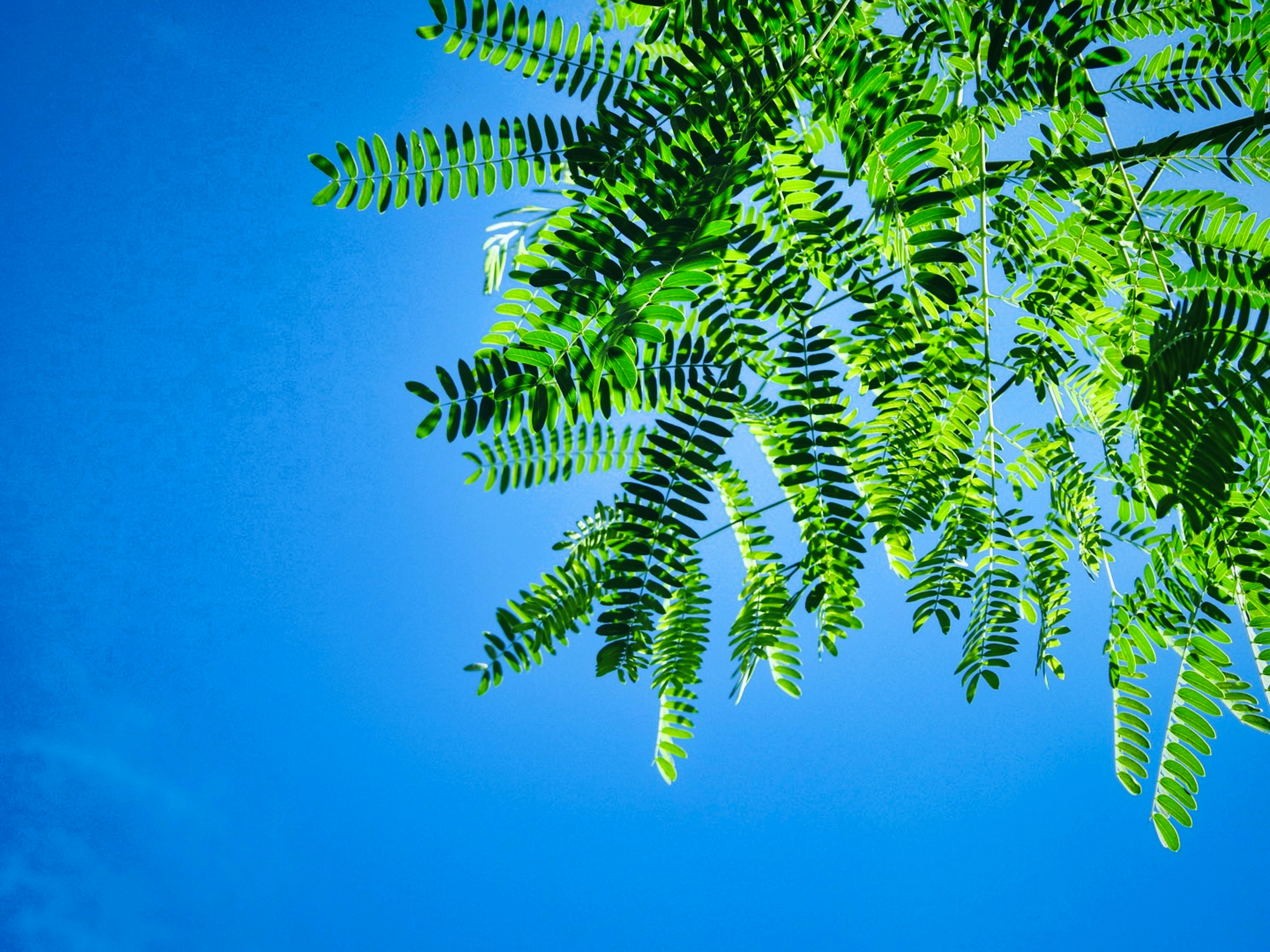 Photo by thomaskinto