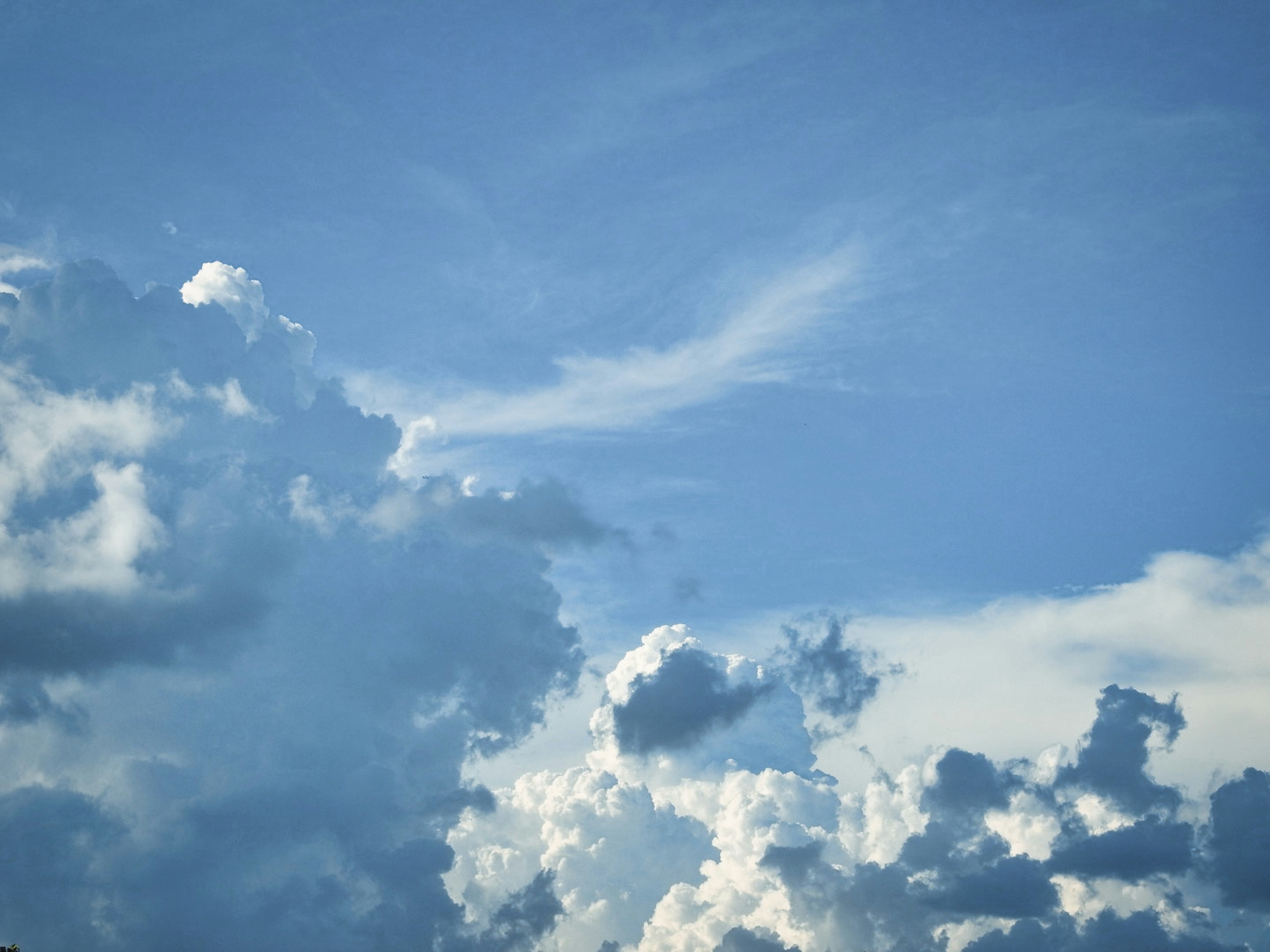 Photo by thomaskinto