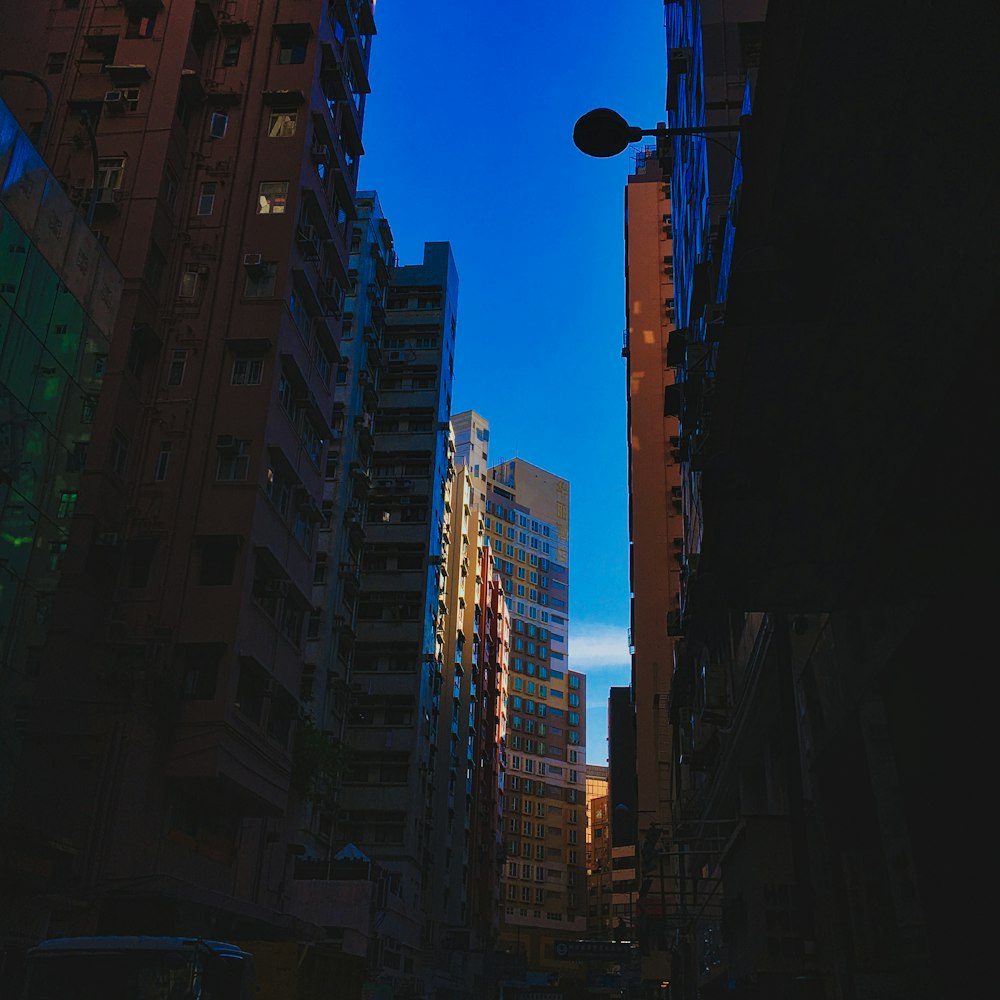 cars on road between high rise buildings during night time