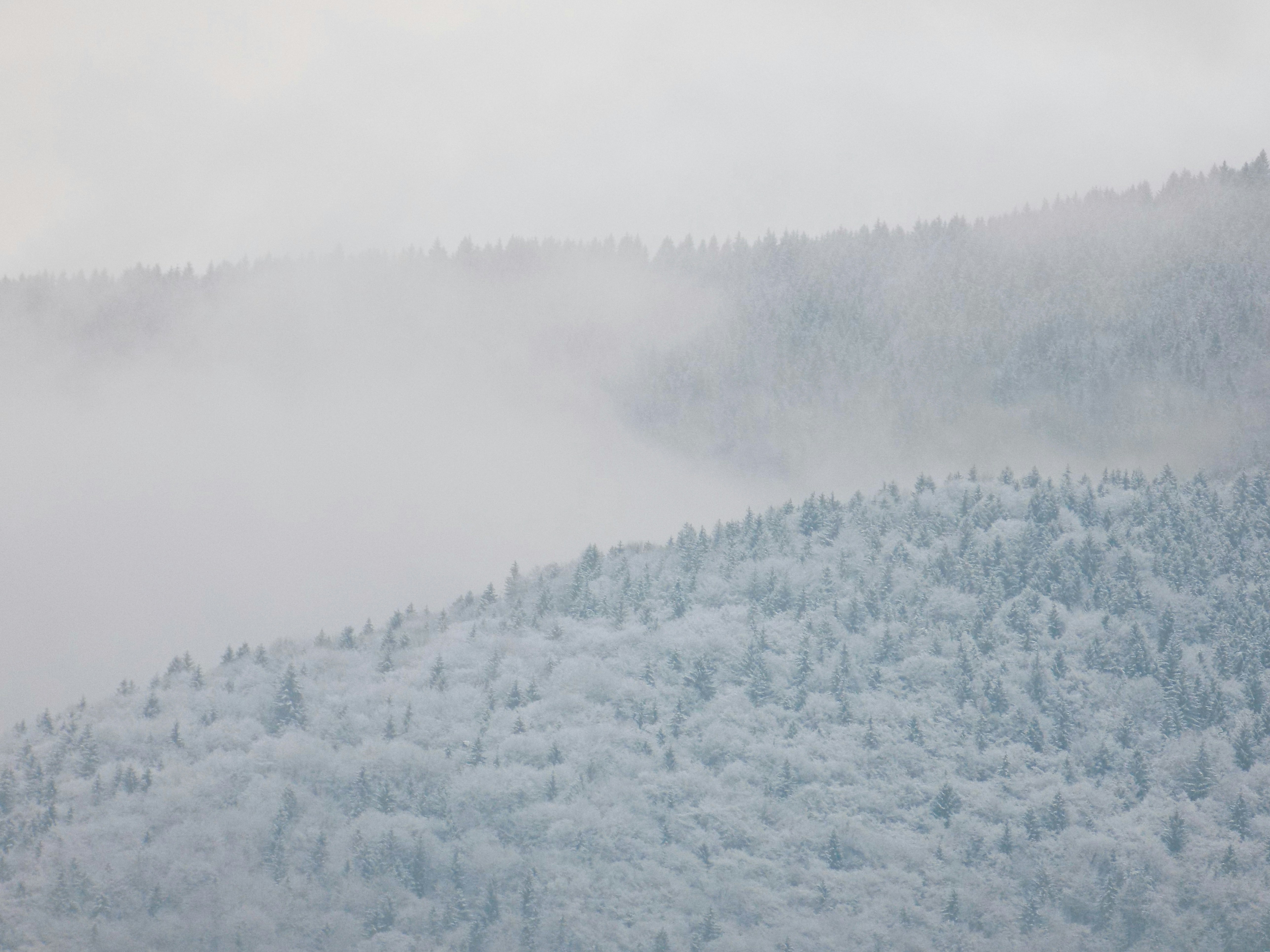 Photo by tizianobrignoliphoto