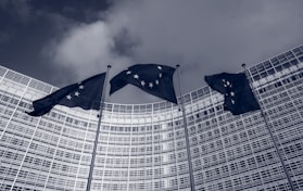 Influence on EU Foreign Policy?