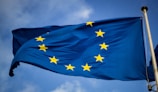 blue and yellow star flag