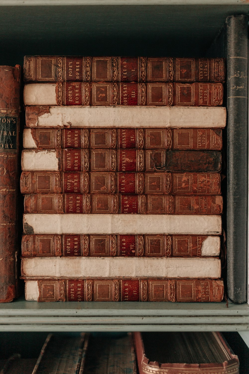 brown and white books on shelf
