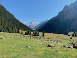 Fairy Meadows lush green meadows with towering Nanga Parbat in the background.