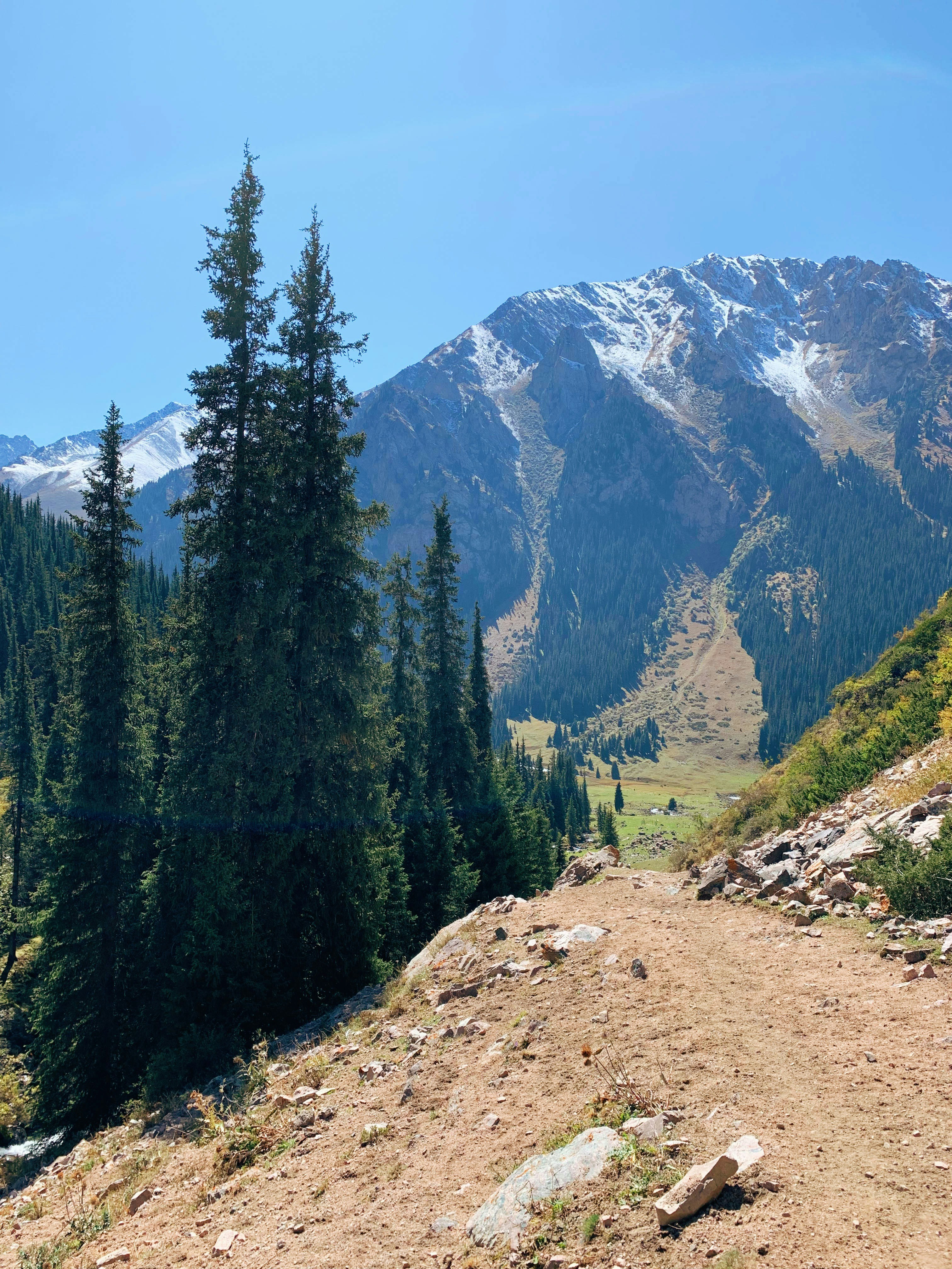 Photo by whoisrobinhood