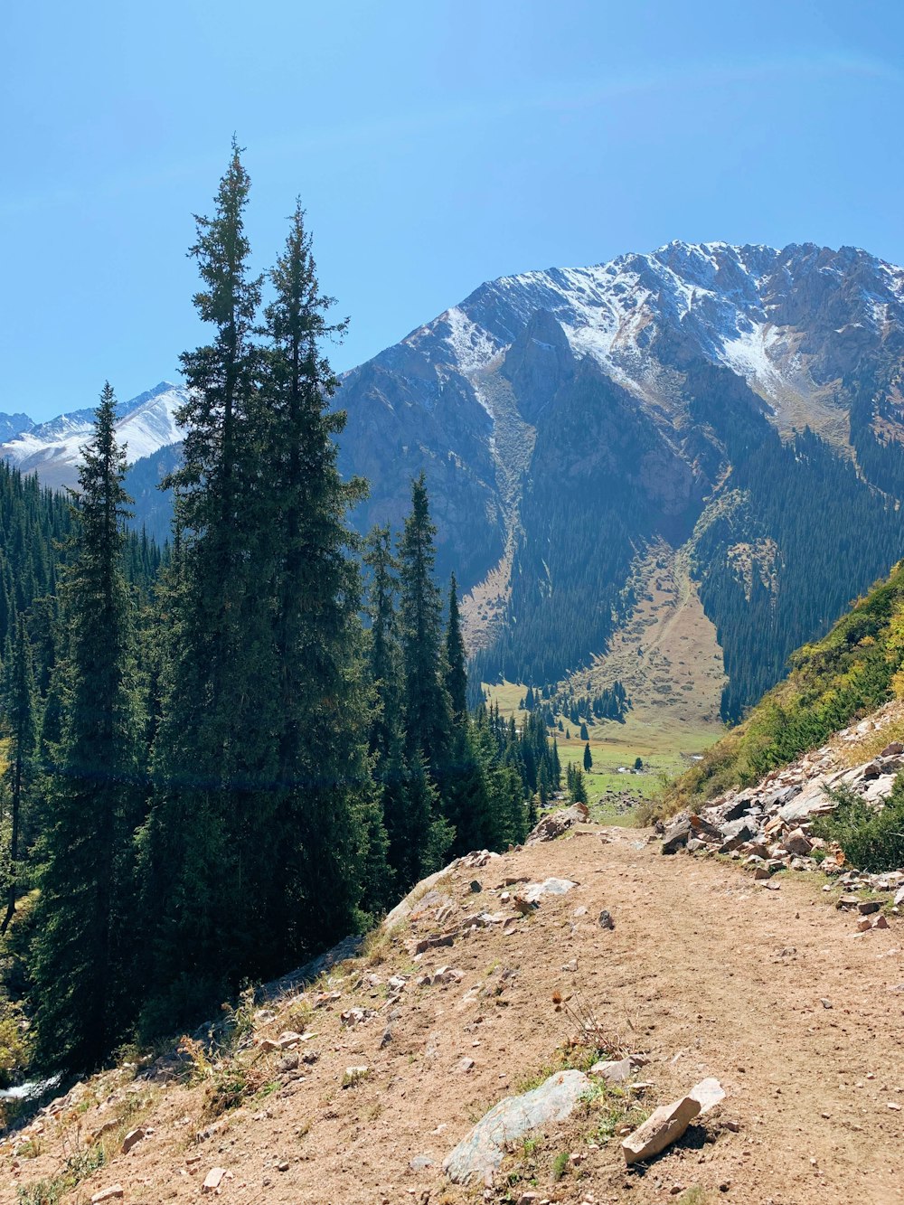 a dirt road with trees and mountains in the background