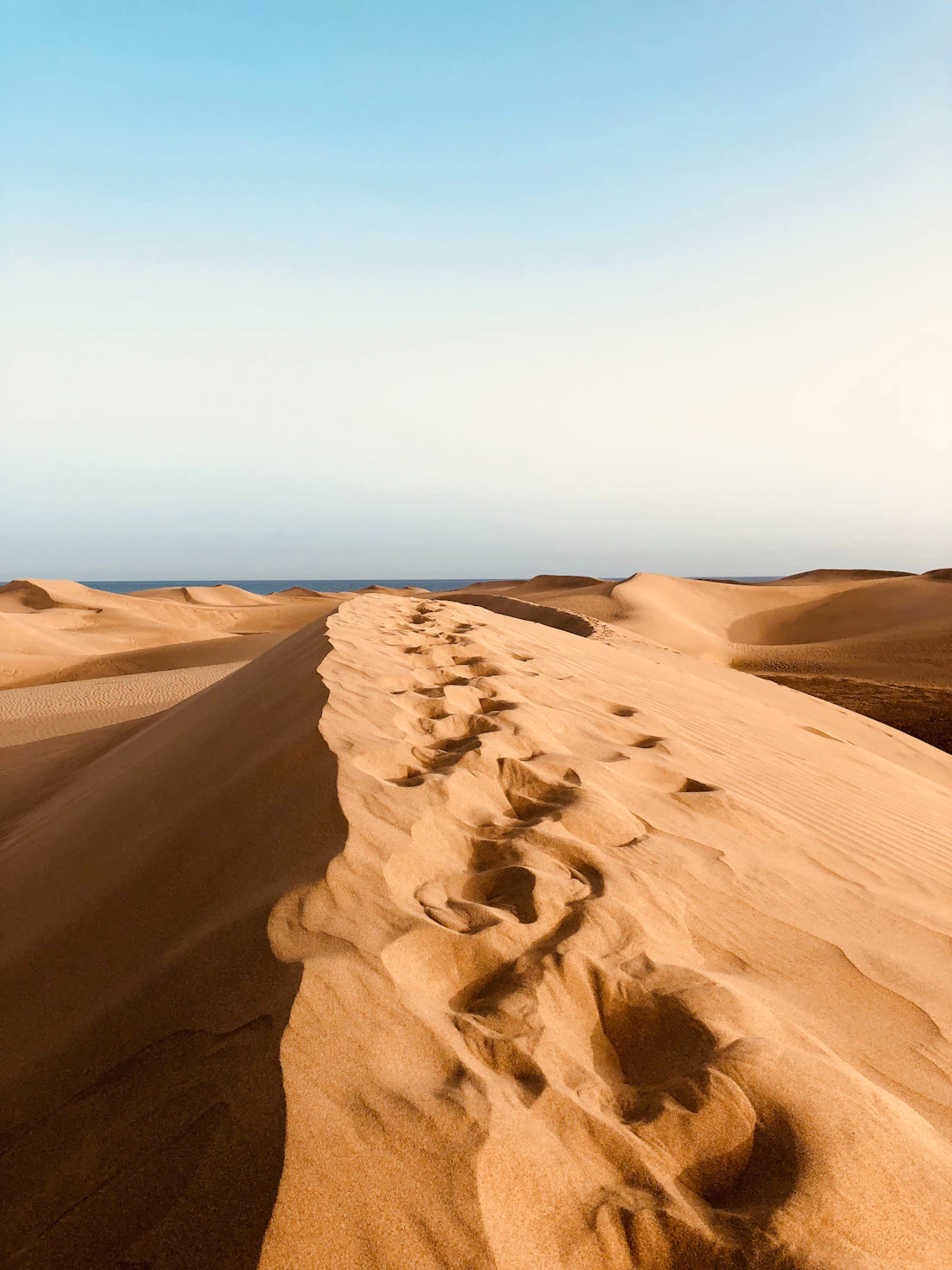 Dune di Maspalomas