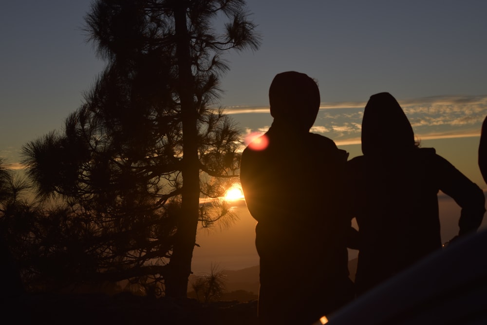 silhouette of 2 men standing near palm tree during sunset