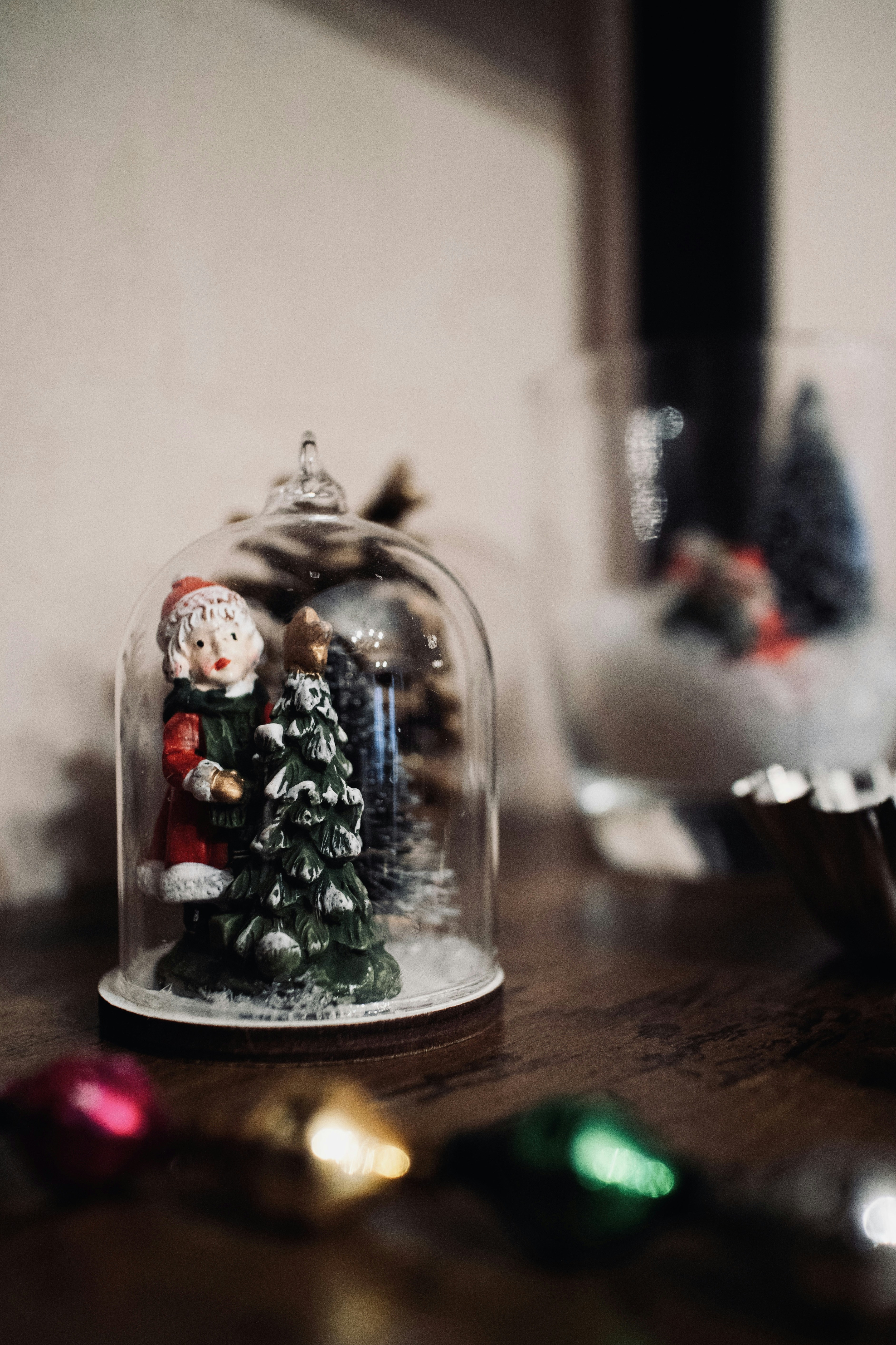 Photo by thejungalista