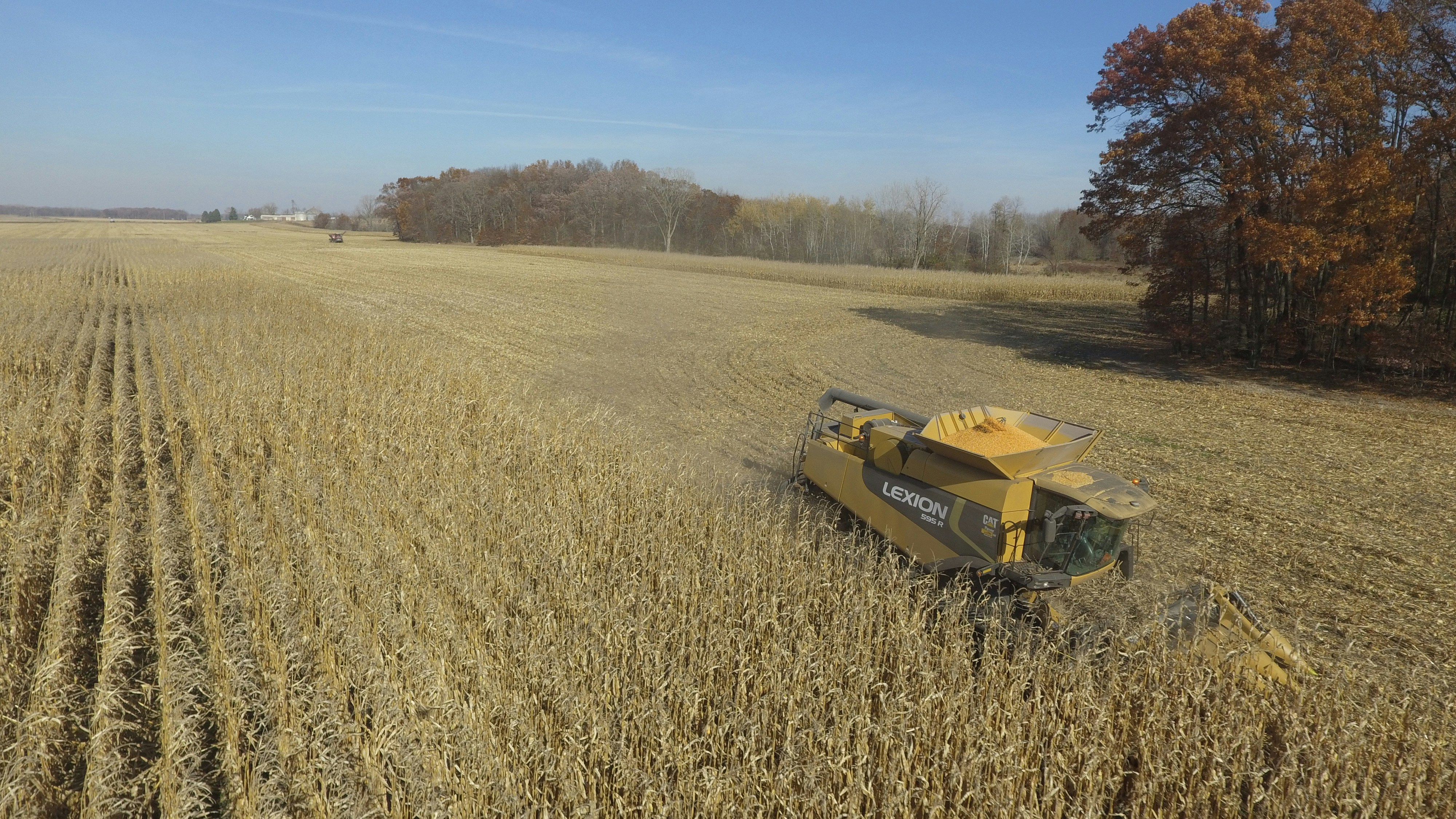 Photo by kingimaging