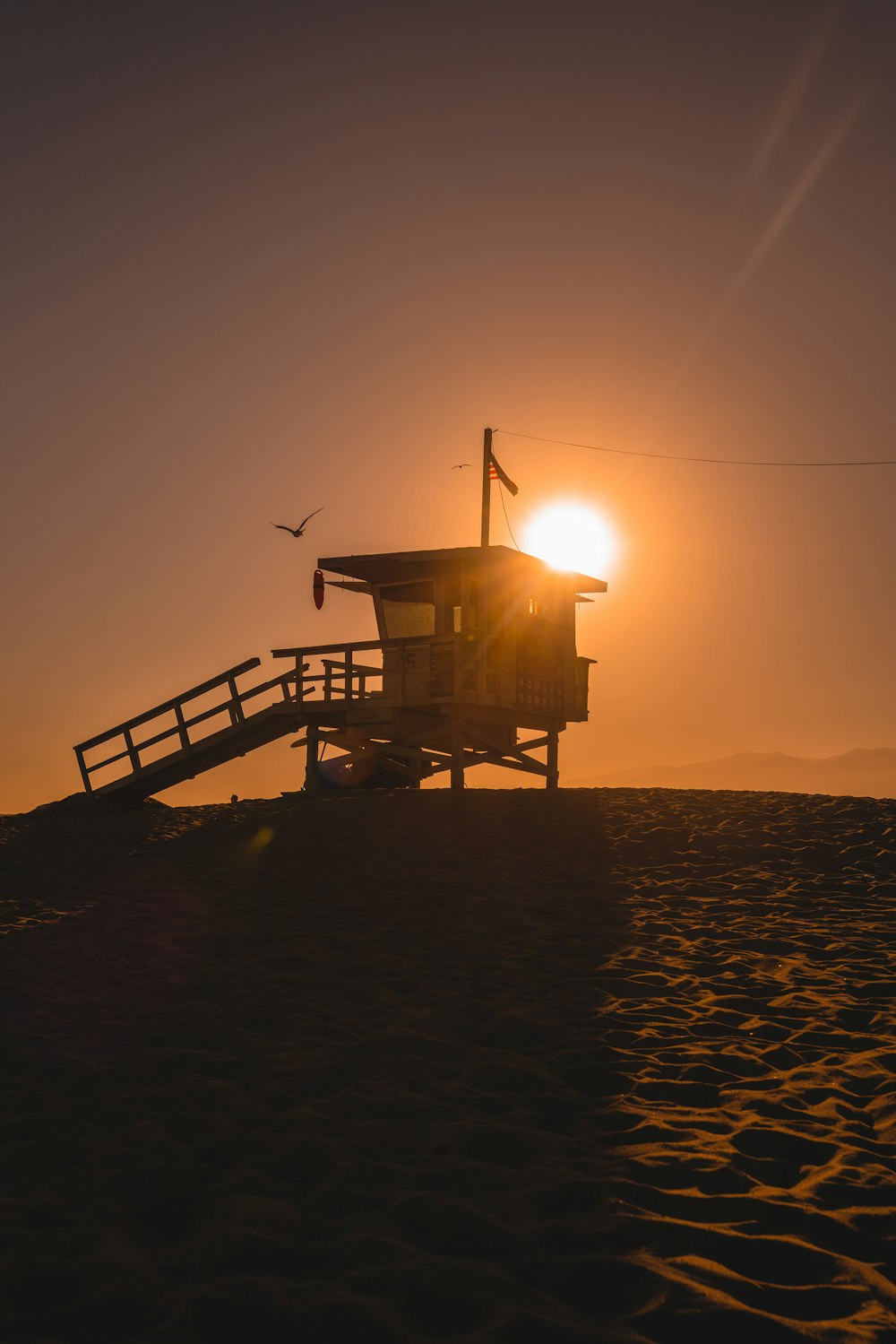 silhouette of person standing on beach during sunset