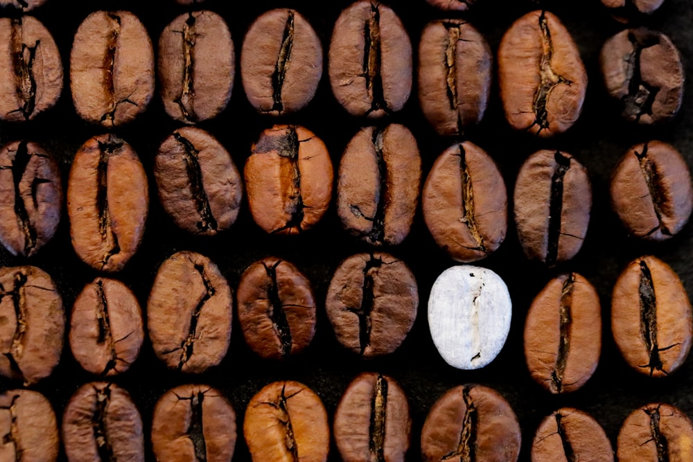 brown wooden log with white round hole