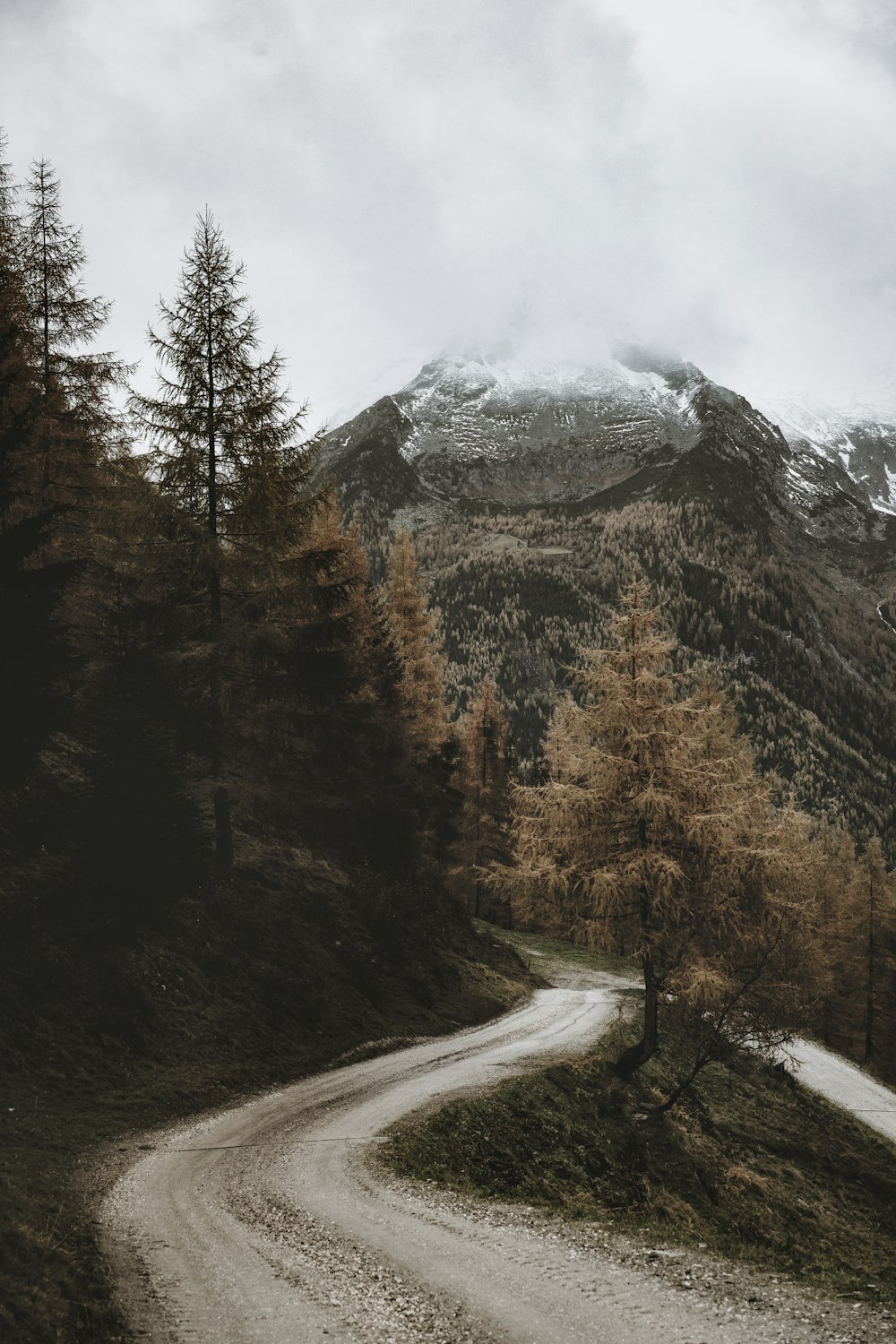 gray concrete road between green trees near mountain during daytime