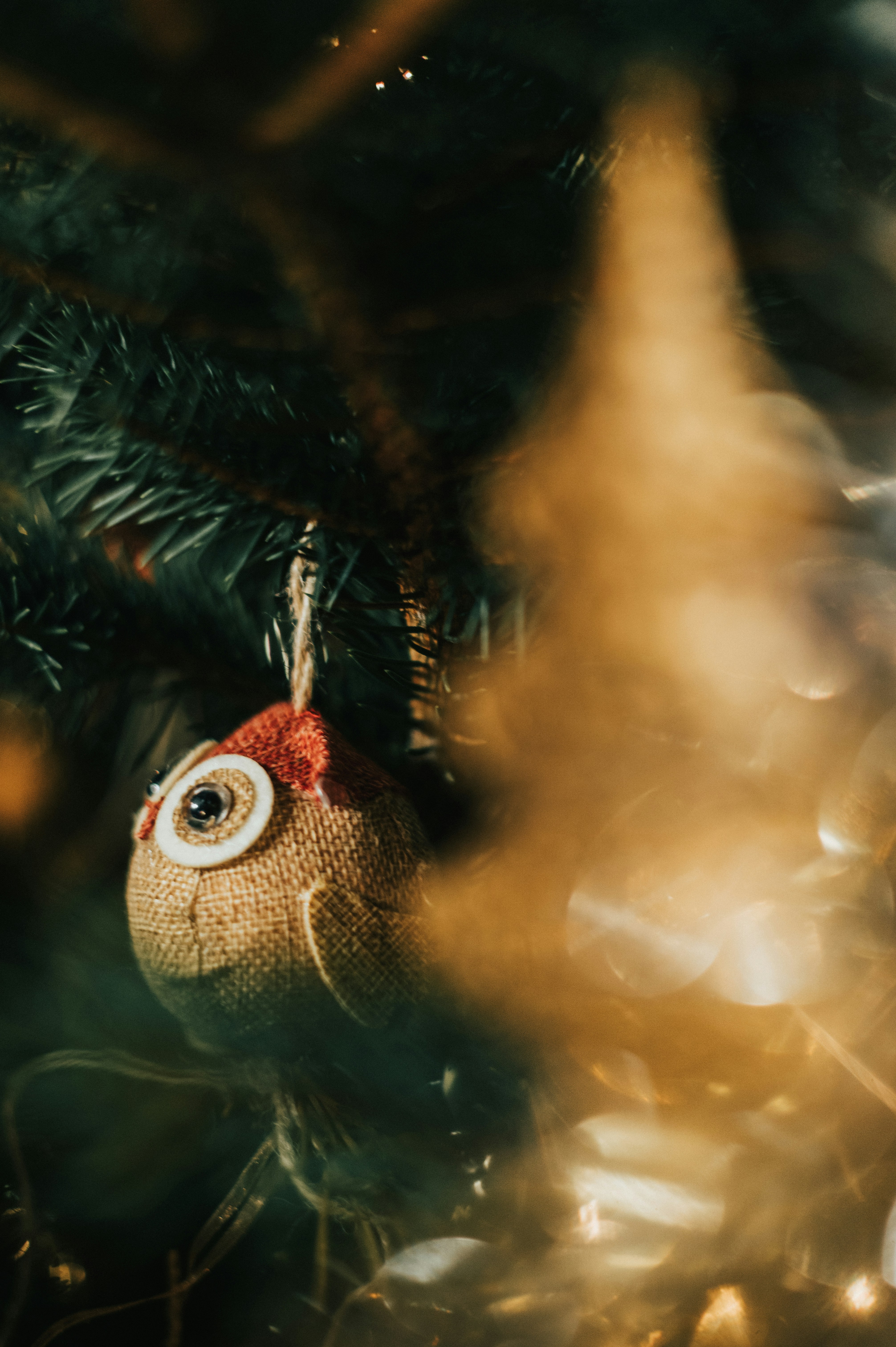 Photo by tamas_tuzeskatai