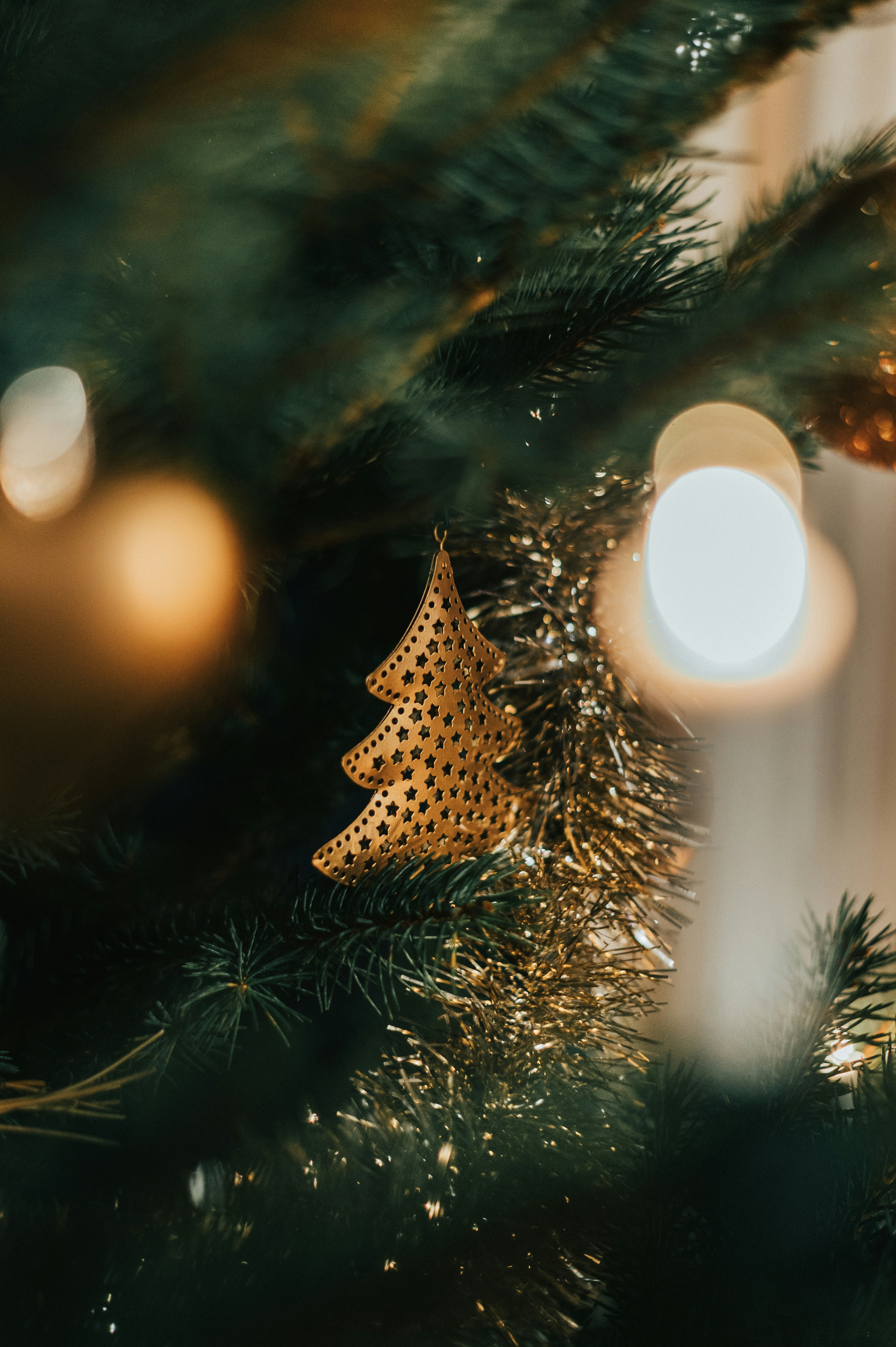 Photo by tamas_tuzeskatai