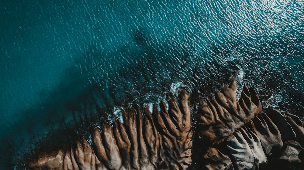 brown and black sand on body of water