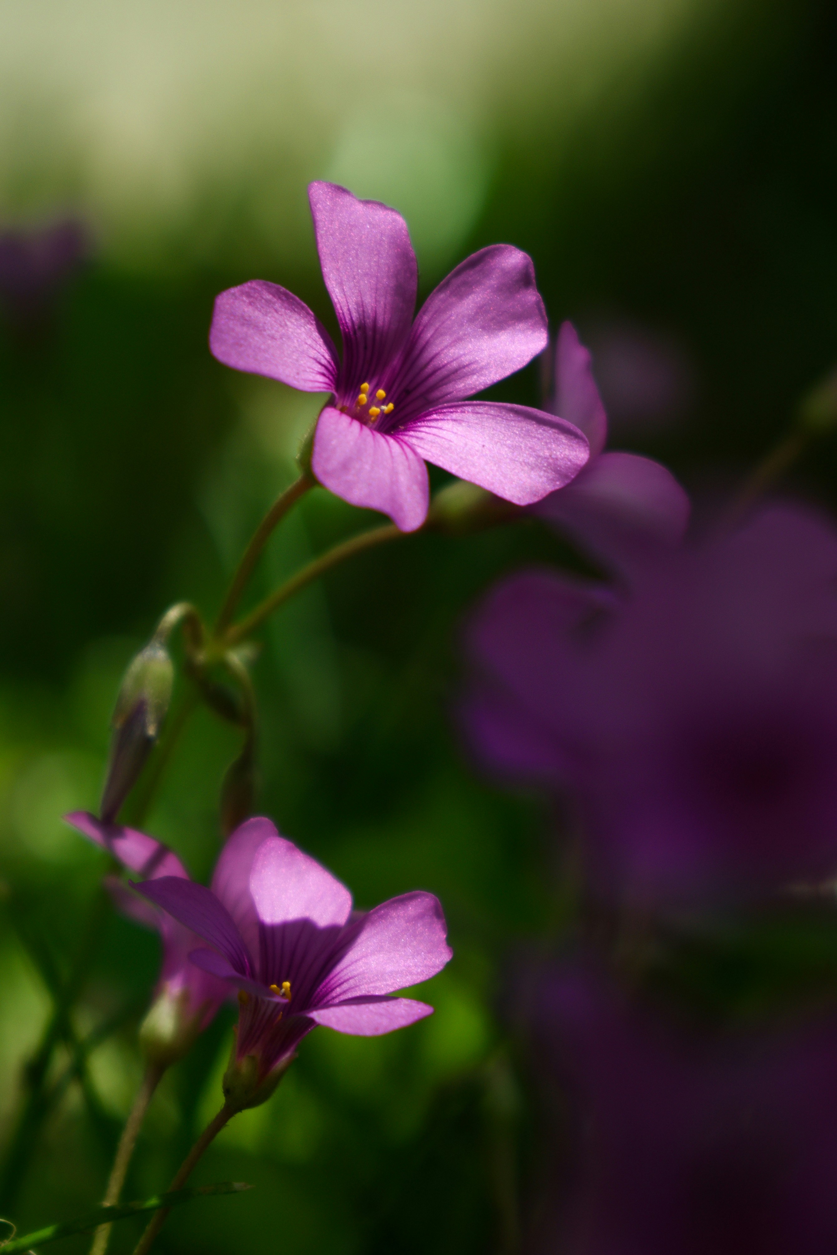 Photo by avillaalegria