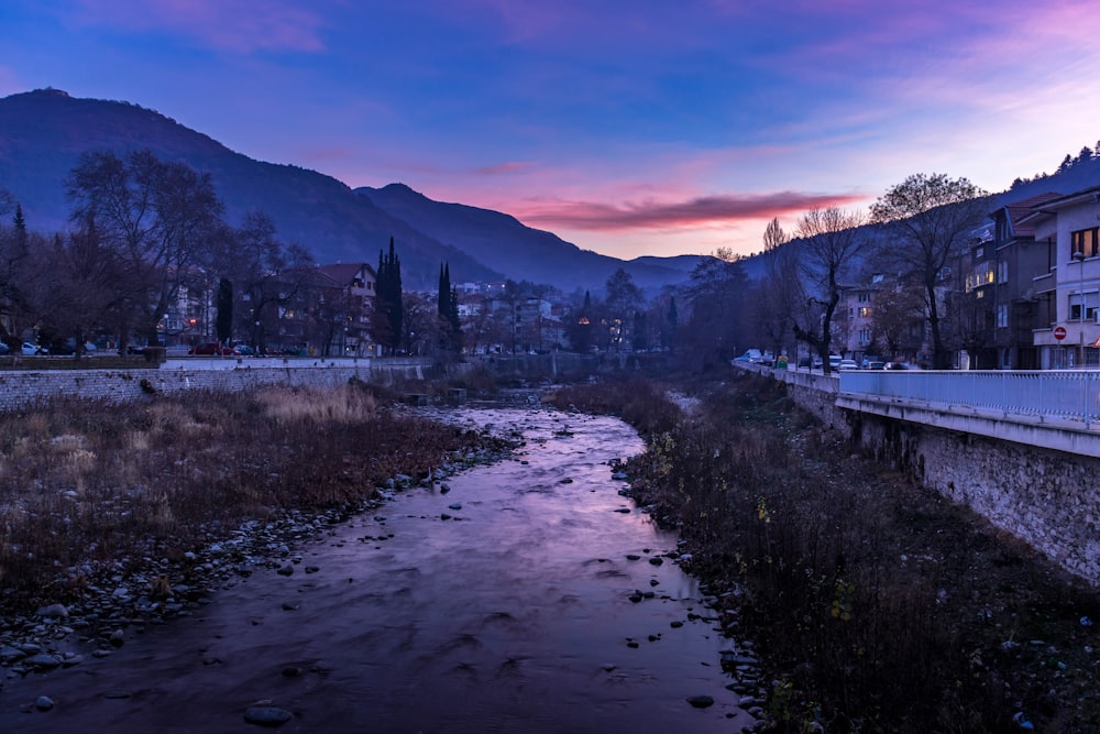 body of water near trees and buildings during daytime