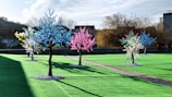 A series of artificial trees with bright, colorful lights are arranged in a landscaped area with green turf. Each tree is adorned with clusters of blue, pink, white, and yellow lights, creating a vibrant and festive atmosphere. The sky is mostly clear, and there are buildings and natural trees visible in the background.