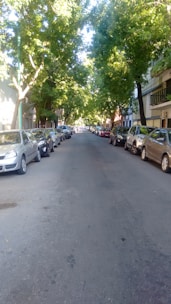 Quiet neighborhood street with trees and parked cars