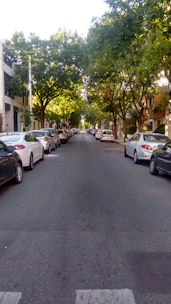 Quiet street view with trees and parked cars in a residential area.