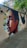 A detailed mural on a wall depicting a realistic side profile of a person with geometric shapes and vivid colors in the background. The mural is situated on a pedestrian walkway, surrounded by greenery and urban elements.